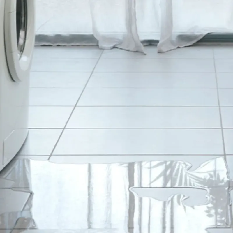 Appliance Leak Cleanup in Johnson County, IA