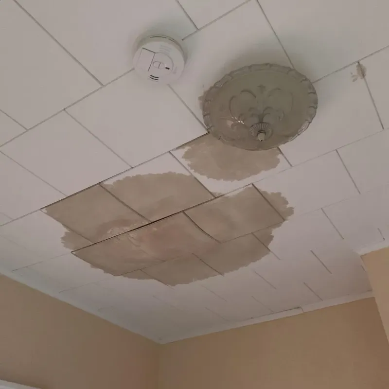 Ceiling Water Damage Repair in Johnson County, IA