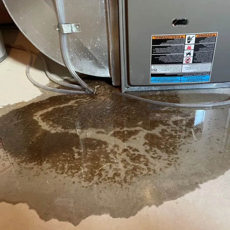 Pipe Burst and Leak Restoration in Johnson County, IA