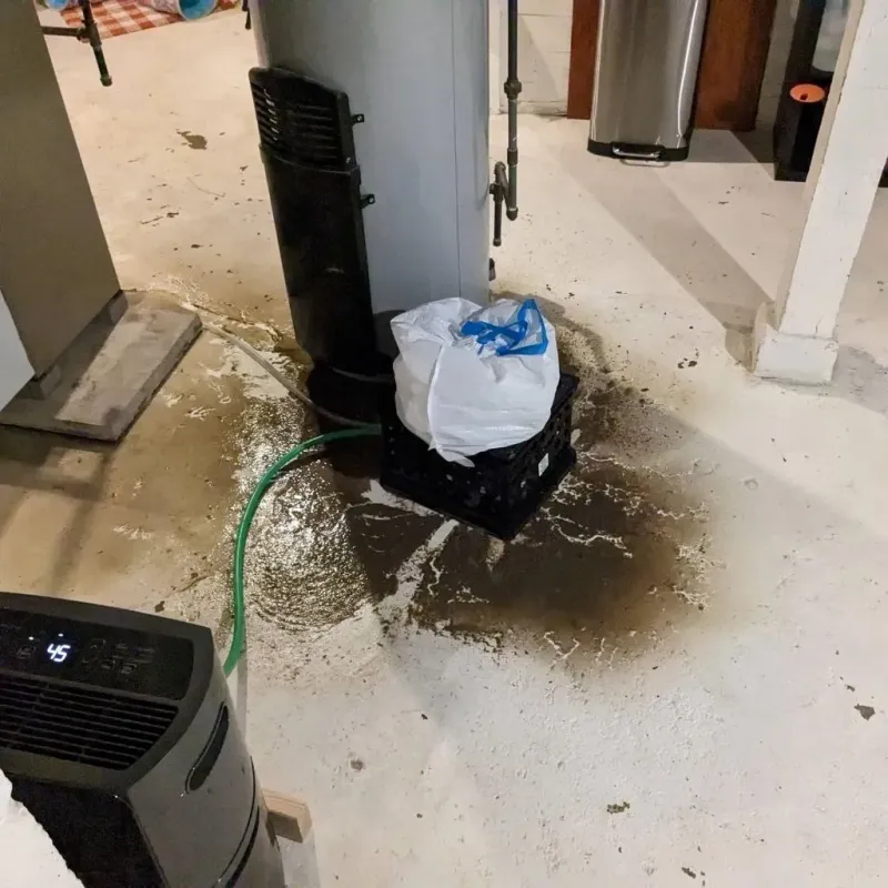 Sewage Backup Cleanup Service in Johnson County, IA